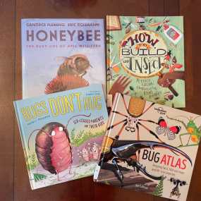 a selection of bug books for kids