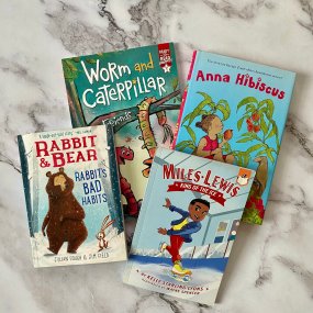 a selection of chapter books for 2nd graders