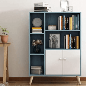 bookshelves with doors